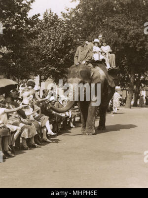 Giro in elefante, giardini zoologici, Regents Park, Londra Foto Stock