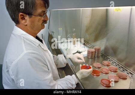 Centri per il controllo delle malattie meningite e patogeni speciale ramo (MSPB) ricerca chimico, Arnold Steigerwalt, eseguendo una ibridazione di DNA, analisi 2005. Immagine cortesia di centri per il controllo delle malattie (CDC) / Maryam I. Daneshvar. () Foto Stock