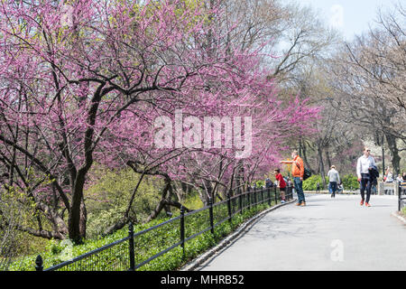 Per coloro che godono di una bella giornata di primavera nel Central Park di New York, Stati Uniti d'America Foto Stock