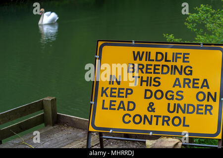 Oakham 3 Maggio 2018: Regno Unito: Meteo crogiolarsi al sole razze di animali selvatici lungo il fiume alzaia i pescatori locali aggiungere sign posti visitatori avviso circa la fauna selvatica di allevamento nella zona in un giorno caldo e soleggiato dal fiume Swan controlla le sue uova, riflessioni sul fiume. Clifford Norton Alamy Live News. Foto Stock