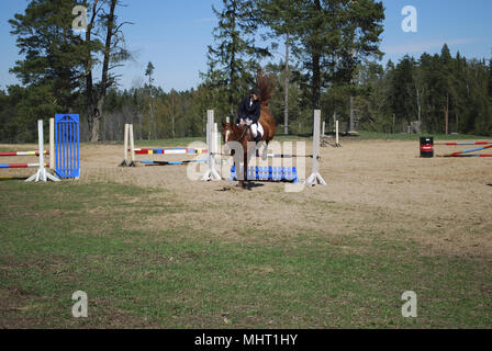 Seme / Lettonia - 1 Maggio 2018: Jockey a cavallo salta sopra gli ostacoli nelle competizioni in show jumping in Lejneki, Semes parrocchia. Foto Stock