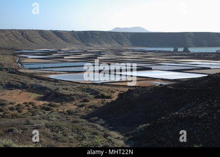 Salinas de Janubio sale sono appartamenti a Lanzarote delle isole Canarie. Le acque della laguna naturale sono evaporati per dare il sale. Foto Stock