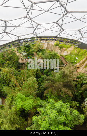 Progetto Eden guardando verso il basso a partire da una piattaforma di osservazione presso l'antenna sentieri nella foresta pluviale biome. Foto Stock