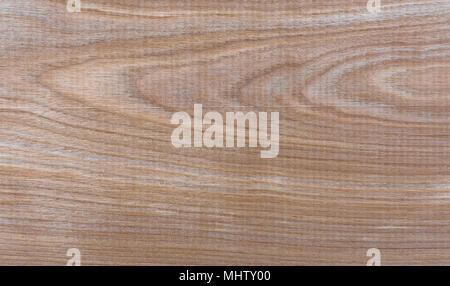 Taiga naturale di legno di betulla grano texture di sfondo di pattern Foto Stock