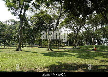 Ang Mo Kio Giardino East community park, Singapore Foto Stock