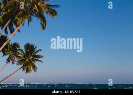 Gli alberi di cocco tratto nel mare, Vietnam, Mui ne Foto Stock