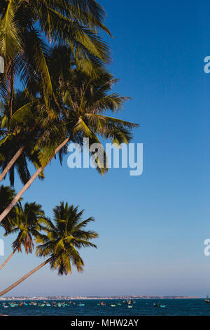 Gli alberi di cocco tratto nel mare, Vietnam, Mui ne Foto Stock