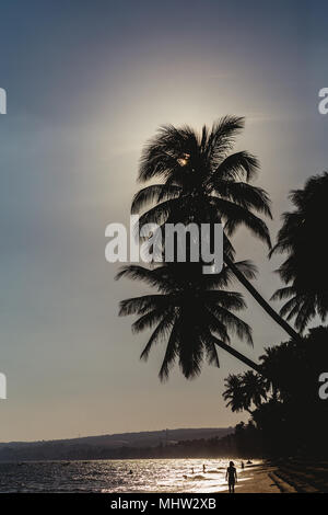 Gli alberi di cocco tratto nel mare, Vietnam, Mui ne Foto Stock