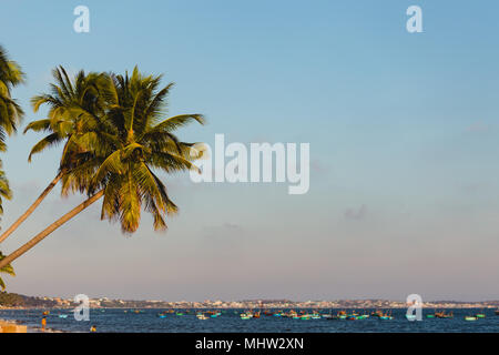 Gli alberi di cocco tratto nel mare, Vietnam, Mui ne Foto Stock