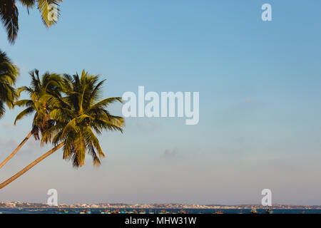 Gli alberi di cocco tratto nel mare, Vietnam, Mui ne Foto Stock