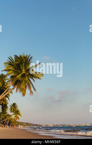 Gli alberi di cocco tratto nel mare, Vietnam, Mui ne Foto Stock