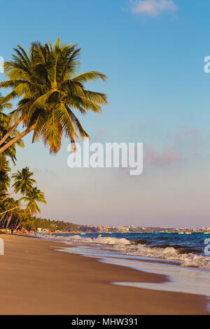 Gli alberi di cocco tratto nel mare, Vietnam, Mui ne Foto Stock