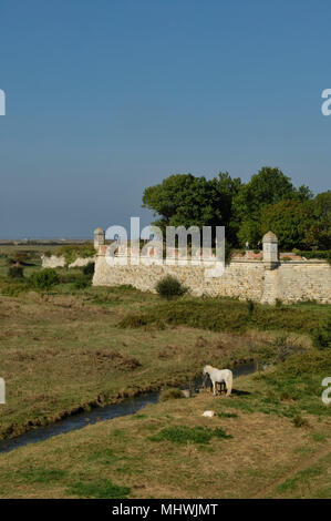 Hiers-Brouage, dipartimento della Charente-Maritime nella parte sud-ovest della Francia Foto Stock