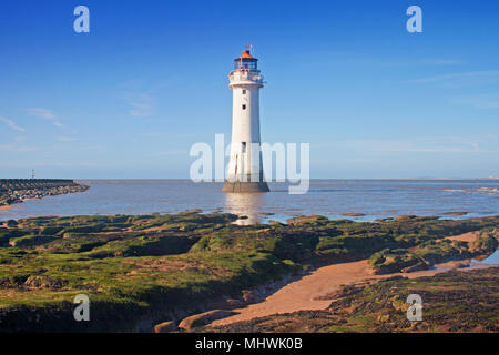 Chiudere fino al pesce persico Rock Lighthouse, sulla nuova spiaggia di Brighton, Inghilterra Foto Stock