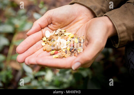 Donna mani a tazza tenendo la frutta secca e il dado mix Foto Stock