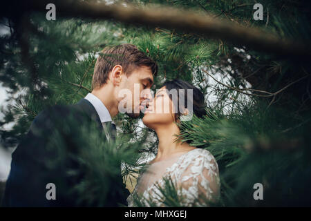 Appena sposata giovane teneramente bacio tra abeti Foto Stock