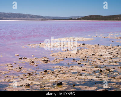 Lago Rosa (Laguna Hutt), Porto Gregorio, Australia occidentale Foto Stock