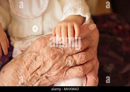 Senior donna azienda baby pronipote, close up delle mani Foto Stock