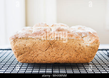 Pane appena sfornato pagnotta di pane integrale sul raffreddamento per rack Foto Stock