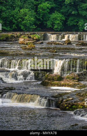 Aysgarth Upper Falls Richmondshire North Yorkshire, Inghilterra Foto Stock