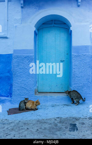 Chefchaouen porta Foto Stock