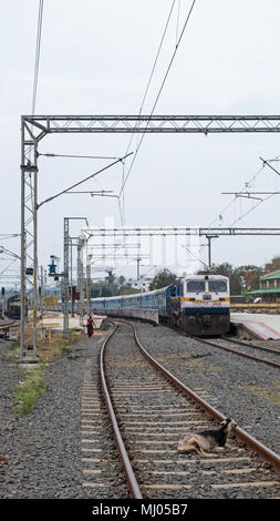 Pondicherry, India - 17 Marzo 2018: Capra su pista presso la principale stazione ferroviaria apparentemente impenetrabile per gli arrivi e le partenze dei treni passeggeri Foto Stock