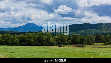 Fienagione con vista di cammelli gobba montagna , il verde delle montagne del Vermont Foto Stock