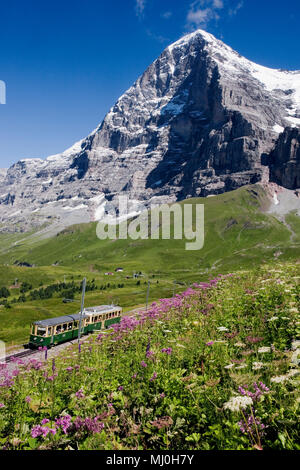 L'Eiger e la sua famigerata parete nord (Eiger Nordwand) da Kleine Scheidegg con il treno Wengernalpbahn da Grindelwald, Svizzera Foto Stock