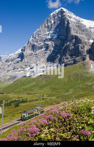 L'Eiger e la sua famigerata parete nord (Eiger Nordwand) da Kleine Scheidegg con il treno Wengernalpbahn da Grindelwald, Svizzera Foto Stock