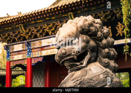 Custode cinese Lion in piedi nella parte anteriore della porta Foto Stock