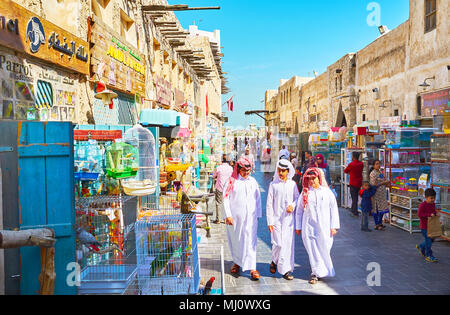 DOHA, Qatar - 13 febbraio 2018: l'affollato e rumoroso stretto vicolo di Souq Waqif è la parte di area di pet, bancarelle locali sono pieni di gabbie con uccelli, Foto Stock