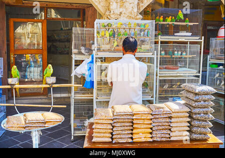 Le gabbie con gli uccelli, alimenti per uccelli e due pappagalli sulla traversa all'entrata di un negozio di animali nel Souq Waqif, Doha, Qatar. Foto Stock