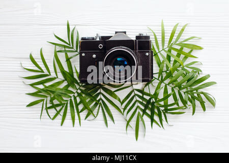 La vacanza estiva concetto, laici piana. nero elegante vecchia foto fotocamera sul verde foglie di palmo in bianco sullo sfondo di legno. moderna hipster viaggi e wanderlus Foto Stock