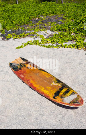 Parco Nazionale dei Vulcani delle Hawaii Escursionismo Scenic Foto Stock