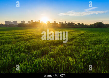 Wuxi nella provincia di Jiangsu Foto Stock