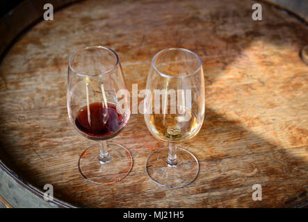 Degustazione di porto portoghese di vino rosso e bianco nella sala di degustazione Foto Stock