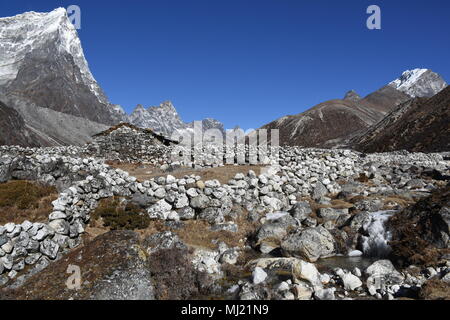 Vecchia fattoria di yak nella valle Pheriche, Nepal Foto Stock