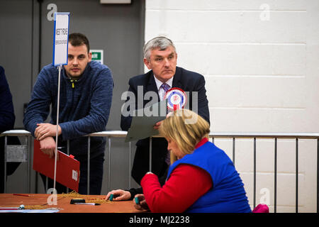 Thomas Buchanan (centro) del democratico partito unionista (DUP) orologi elezione conteggio del personale schede di voto a Omagh complesso di svago per la West Tyrone Westminster per elezione, attivato quando l'ultimo MP uscire in mezzo alle rivendicazioni ha schernito vittime dell'Irlanda del Nord in difficoltà. Foto Stock