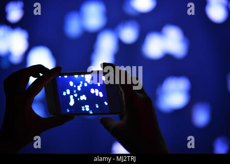 Dubai Aquarium Foto Stock