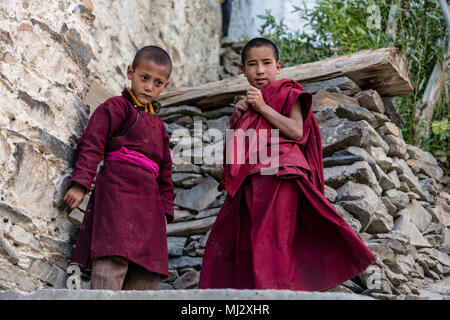 Un giovane i monaci buddisti a KARSHA GOMPA il più grande monastero buddista in STOD River Valley - ZANSKAR, Ladakh, INDIA Foto Stock