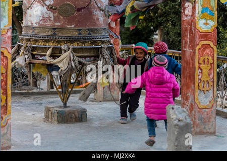 I bambini del villaggio gira una ruota di preghiera al monastero di KARSHA nel STOD River Valley - ZANSKAR, Ladakh, INDIA Foto Stock