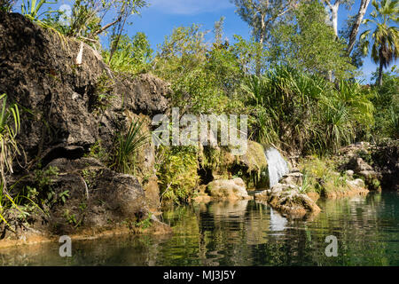 Lawn Hill, Queensland, Australia. Indarri cade nel prato Hill Gorge in Nazionale Bodjamulla Pa Foto Stock