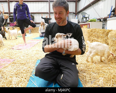 Archiviato - 26 aprile 2018, US, San Francisco: partecipante al corso di Shawn O'Brien (42) tenendo un baby capra alla classe di yoga. Alcuni appassionati di Yoga sono in costante ricerca di nuovi modi per rilassarsi. In noi "capra Yoga' corsi hanno sempre una vasta base di fan. Foto: Barbara Munker/dpa Foto Stock