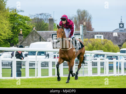 Musselburgh, Scozia, 4 maggio 2018. Musselburgh Race Course, Musselburgh, East Lothian, Scozia, Regno Unito. Una corsa di cavalli galoppa per la partenza al pomeriggio flat horse racing si incontrano. Horse 'Milton Road' cavalcato da jockey Jason Hart in 3,40 Weatherbys Bank Foreign Exchange Handicap Foto Stock