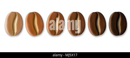 Realistico i chicchi di caffè sulle varie fasi di tostatura Illustrazione Vettoriale