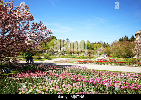 Monaco di Baviera, Germania - 20 Aprile 2018 - primavera al giardino botanico di Monaco di Baviera. Il giardino botanico fu creato nel 1914 e coltiva circa 14.000 speci Foto Stock