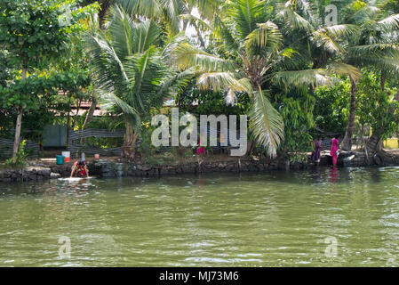 Le donne sono il lavaggio di vestiti sulle vie navigabili di Alappuzha nello stato del Kerala, India. Foto Stock