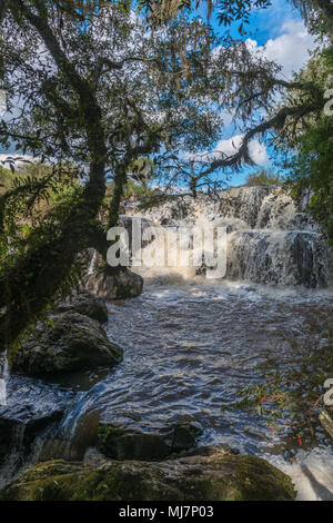 Cascate di Venancios, 'Cachoeira dos Venancios', Cambara do Sul Rio Grande do Sul, basilico, America Meridionale Foto Stock