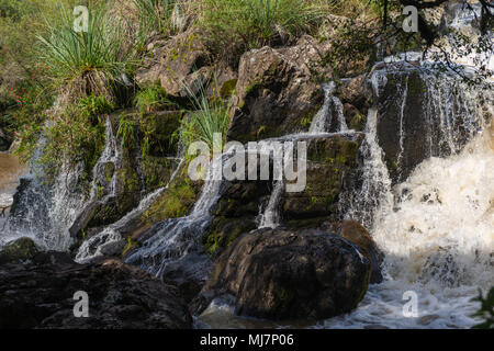 Cascate di Venancios, 'Cachoeira dos Venancios', Cambara do Sul Rio Grande do Sul, basilico, America Meridionale Foto Stock