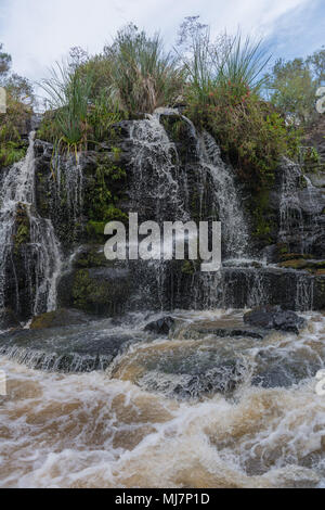 Cascate di Venancios, 'Cachoeira dos Venancios', Cambara do Sul Rio Grande do Sul, basilico, America Meridionale Foto Stock